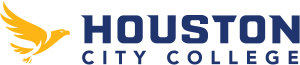 HCC